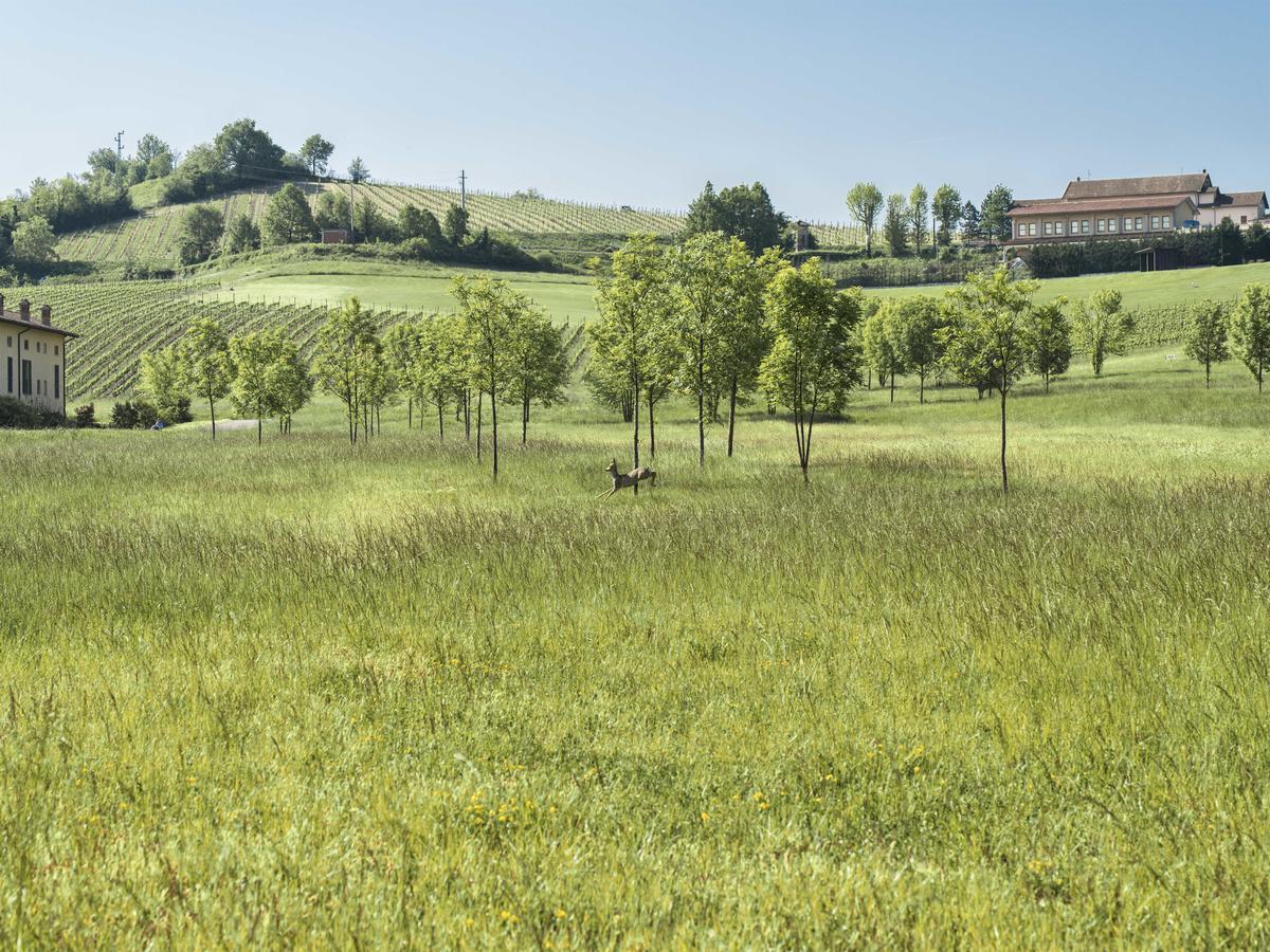 Serravalle Golf Hotel Serravalle Scrivia Zewnętrze zdjęcie
